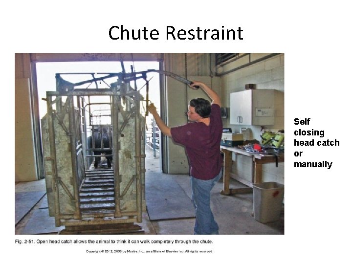 Chute Restraint Self closing head catch or manually Chute Restraint Self closing head catch or manually