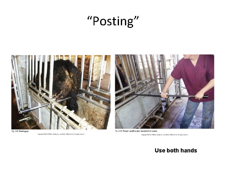 “Posting” Use both hands “Posting” Use both hands