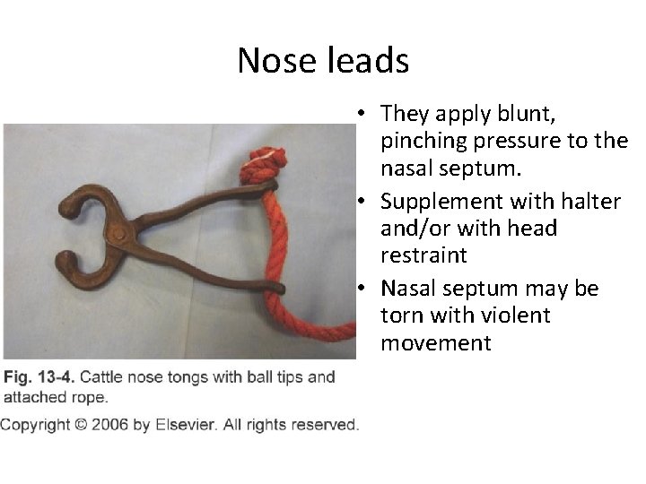 Nose leads • They apply blunt, pinching pressure to the nasal septum. • Supplement Nose leads • They apply blunt, pinching pressure to the nasal septum. • Supplement