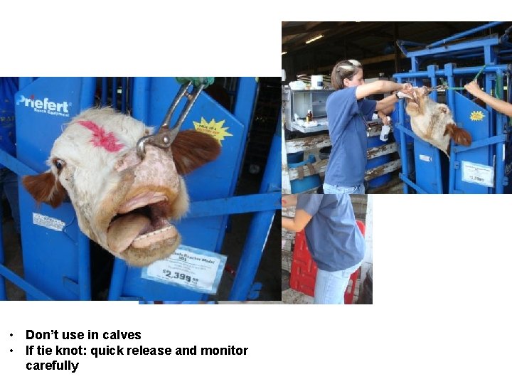 • Don’t use in calves • If tie knot: quick release and monitor • Don’t use in calves • If tie knot: quick release and monitor