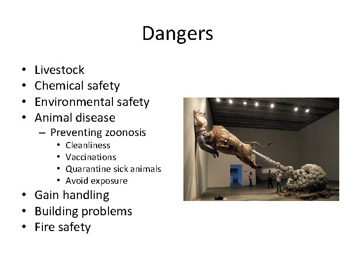 Dangers • • Livestock Chemical safety Environmental safety Animal disease – Preventing zoonosis • Dangers • • Livestock Chemical safety Environmental safety Animal disease – Preventing zoonosis •