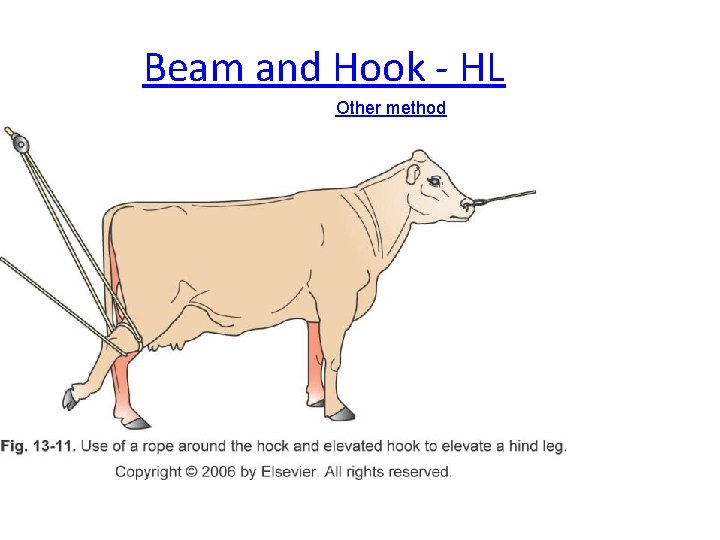 Beam and Hook - HL Other method Beam and Hook - HL Other method