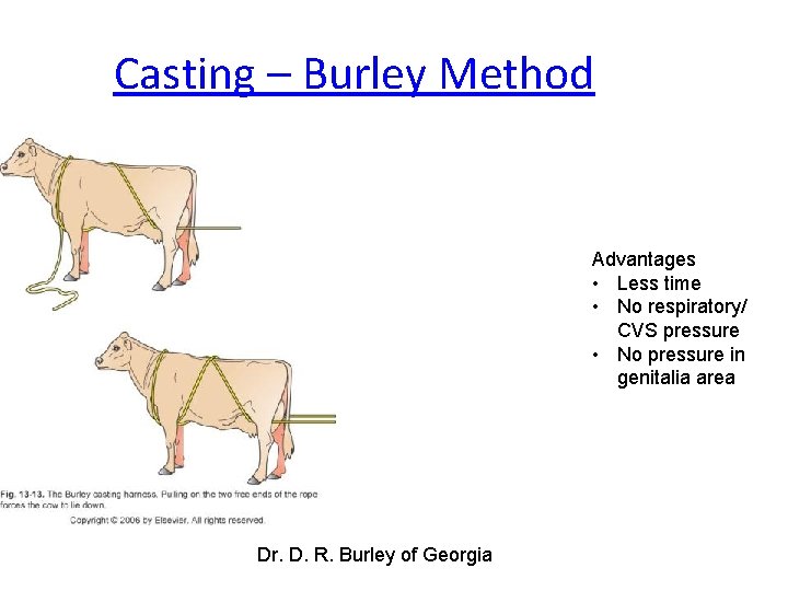 Casting – Burley Method Advantages • Less time • No respiratory/ CVS pressure • Casting – Burley Method Advantages • Less time • No respiratory/ CVS pressure •