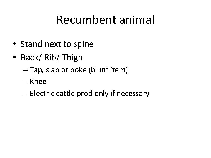 Recumbent animal • Stand next to spine • Back/ Rib/ Thigh – Tap, slap Recumbent animal • Stand next to spine • Back/ Rib/ Thigh – Tap, slap