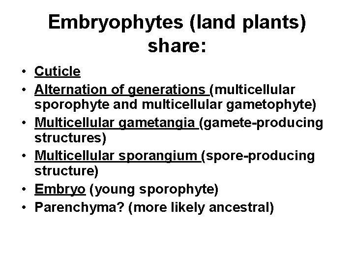 Embryophytes (land plants) share: • Cuticle • Alternation of generations (multicellular sporophyte and multicellular