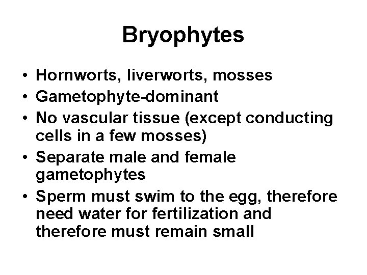 Bryophytes • Hornworts, liverworts, mosses • Gametophyte-dominant • No vascular tissue (except conducting cells