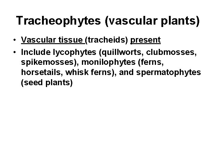 Tracheophytes (vascular plants) • Vascular tissue (tracheids) present • Include lycophytes (quillworts, clubmosses, spikemosses),