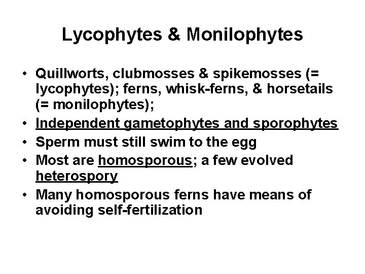 Lycophytes & Monilophytes • Quillworts, clubmosses & spikemosses (= lycophytes); ferns, whisk-ferns, & horsetails