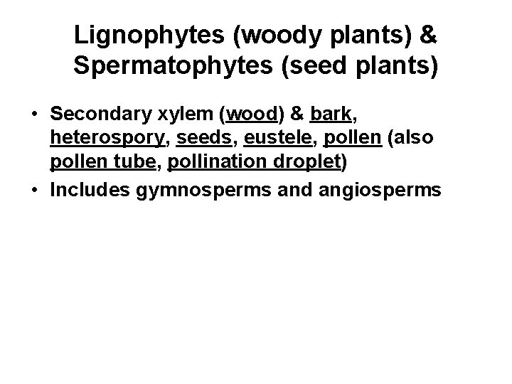 Lignophytes (woody plants) & Spermatophytes (seed plants) • Secondary xylem (wood) & bark, heterospory,