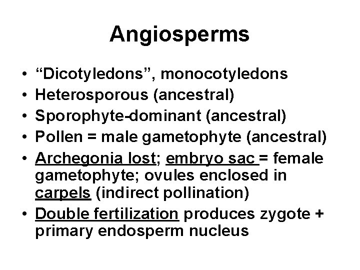 Angiosperms • • • “Dicotyledons”, monocotyledons Heterosporous (ancestral) Sporophyte-dominant (ancestral) Pollen = male gametophyte