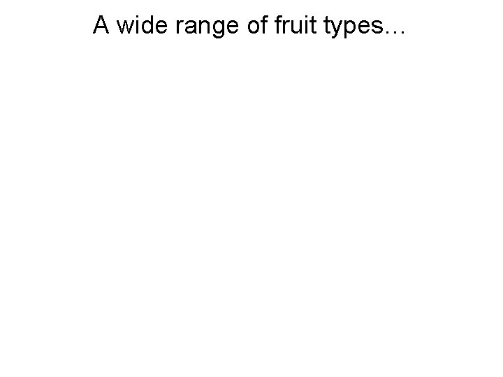 A wide range of fruit types… 