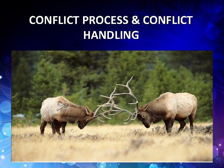 CONFLICT PROCESS & CONFLICT HANDLING 