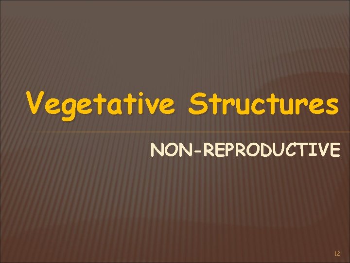 Vegetative Structures NON-REPRODUCTIVE 12 