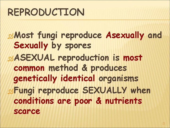 REPRODUCTION Most fungi reproduce Asexually and Sexually by spores ASEXUAL reproduction is most common