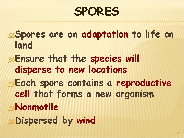 SPORES Spores are an adaptation to life on land Ensure that the species will