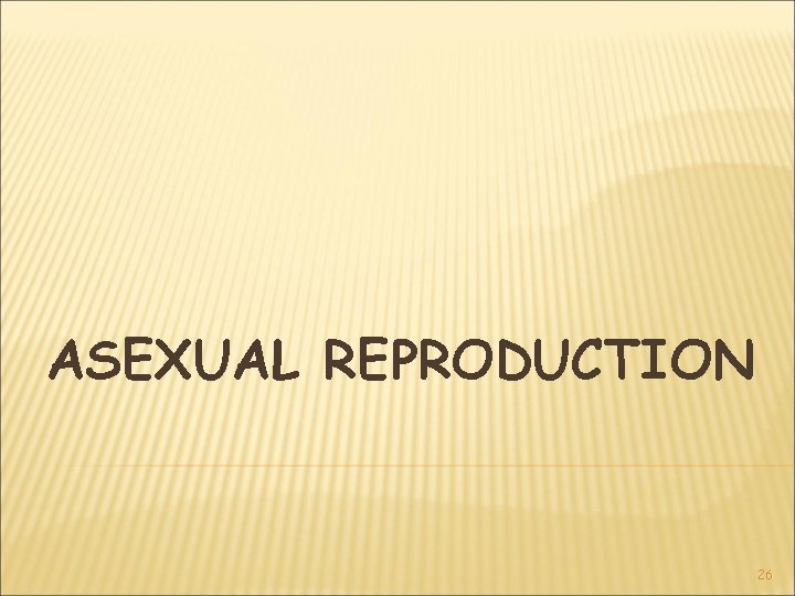 ASEXUAL REPRODUCTION 26 