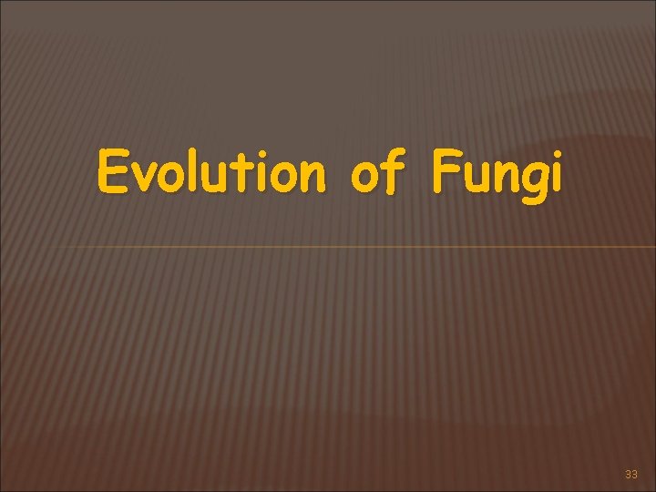 Evolution of Fungi 33 