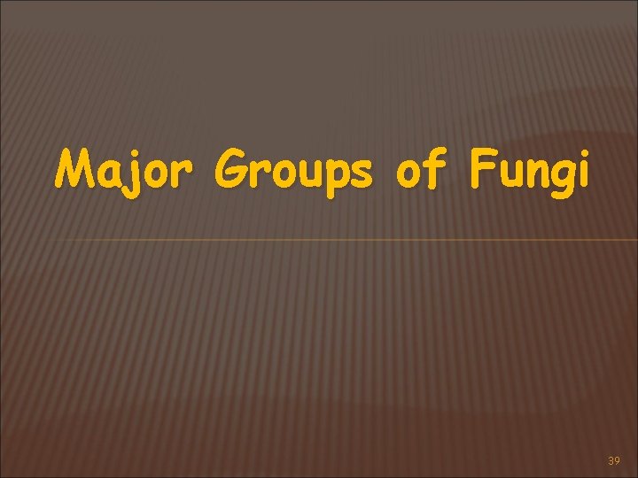Major Groups of Fungi 39 