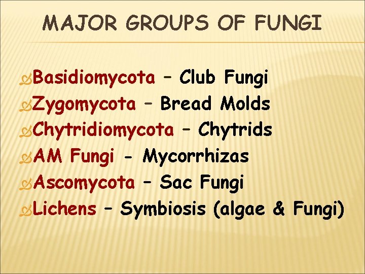 MAJOR GROUPS OF FUNGI Basidiomycota – Club Fungi Zygomycota – Bread Molds Chytridiomycota –