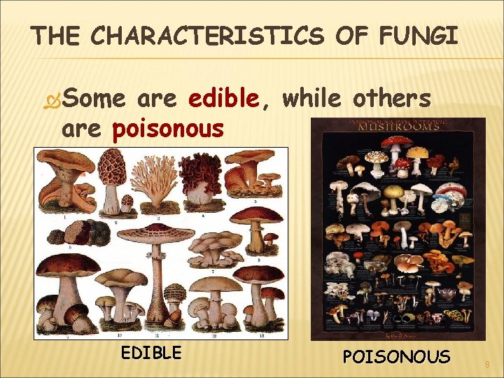 THE CHARACTERISTICS OF FUNGI Some are edible, while others are poisonous EDIBLE POISONOUS 8