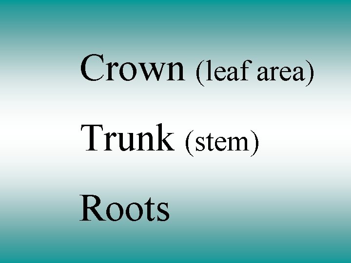 Crown (leaf area) Trunk (stem) Roots 
