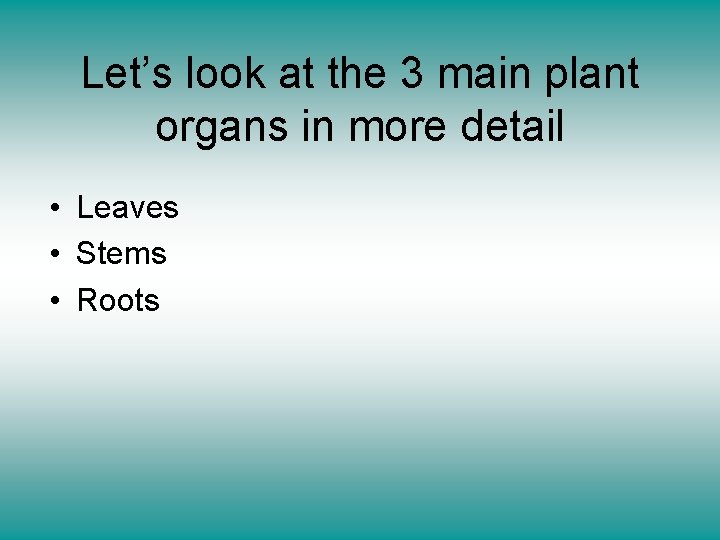 Let’s look at the 3 main plant organs in more detail • Leaves •