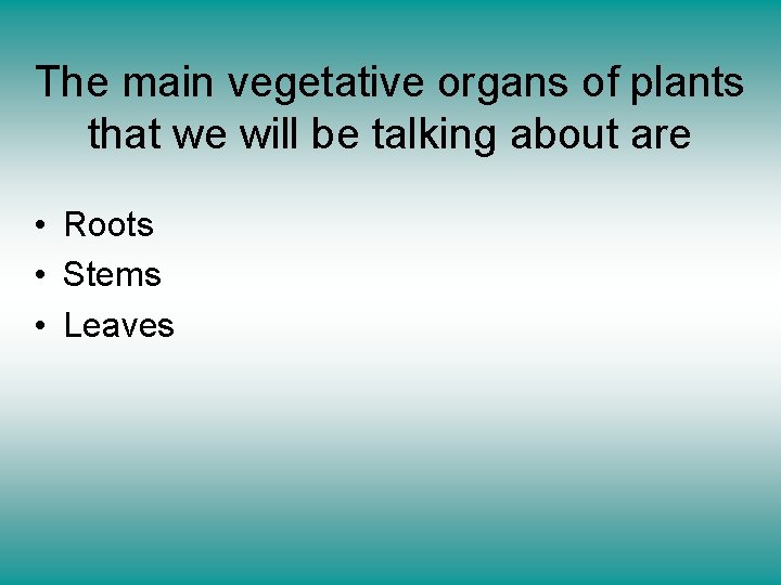 The main vegetative organs of plants that we will be talking about are •