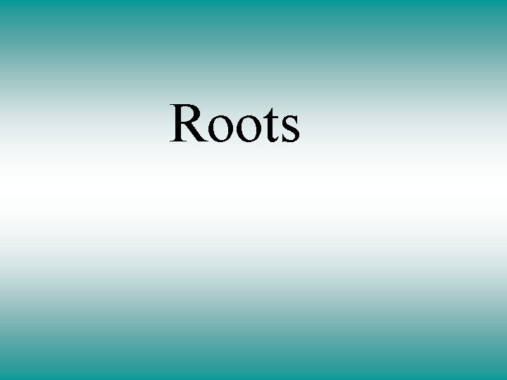 Roots 