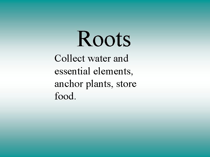 Roots Collect water and essential elements, anchor plants, store food. 