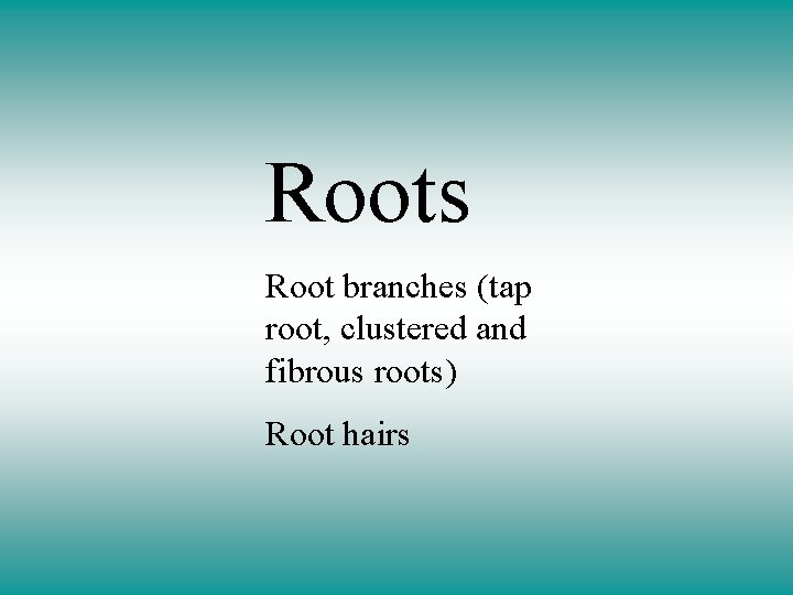 Roots Root branches (tap root, clustered and fibrous roots) Root hairs 