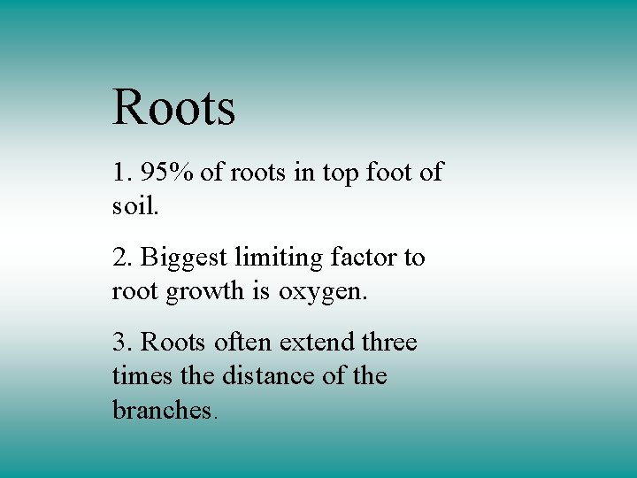 Roots 1. 95% of roots in top foot of soil. 2. Biggest limiting factor