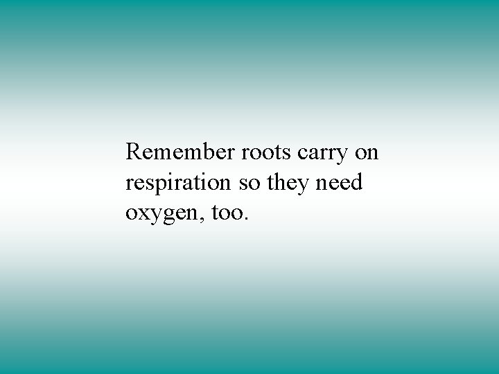 Remember roots carry on respiration so they need oxygen, too. 