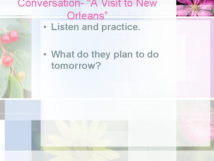 Conversation- “A Visit to New Orleans” • Listen and practice. • What do they