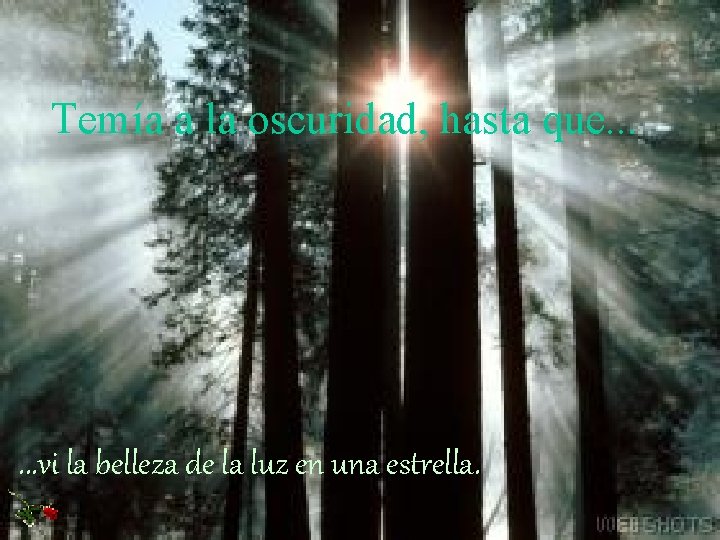 Temía a la oscuridad, hasta que. . . vi la belleza de la luz