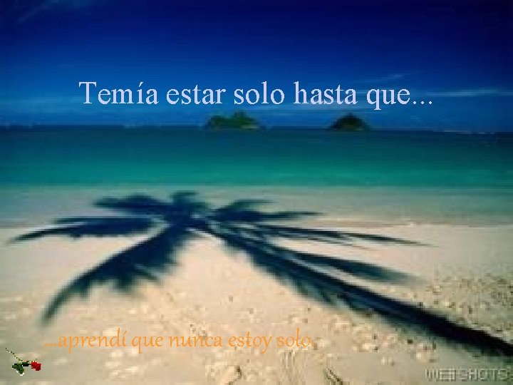 Temía estar solo hasta que. . . aprendí que nunca estoy solo. 