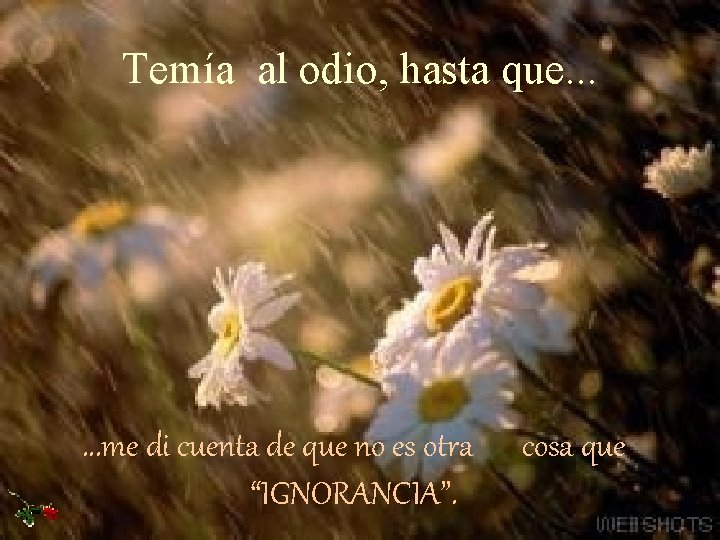 Temía al odio, hasta que. . . me di cuenta de que no es