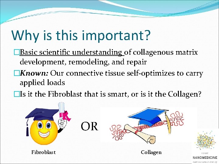 Why is this important? �Basic scientific understanding of collagenous matrix development, remodeling, and repair