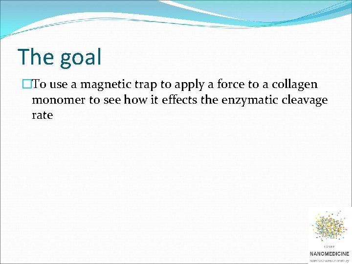 The goal �To use a magnetic trap to apply a force to a collagen