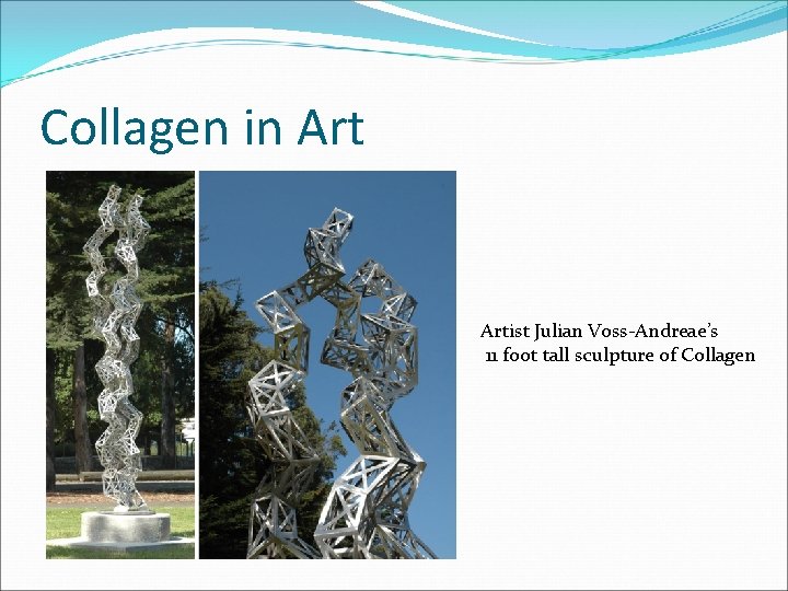 Collagen in Artist Julian Voss-Andreae’s 11 foot tall sculpture of Collagen 