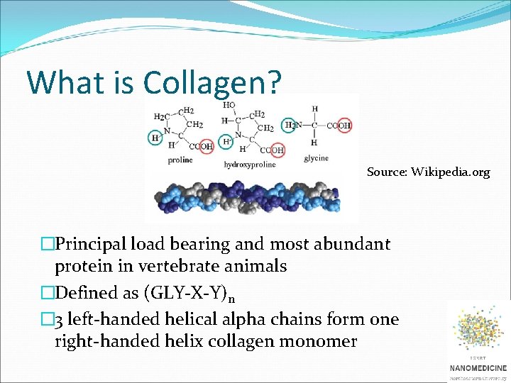 What is Collagen? Source: Wikipedia. org �Principal load bearing and most abundant protein in