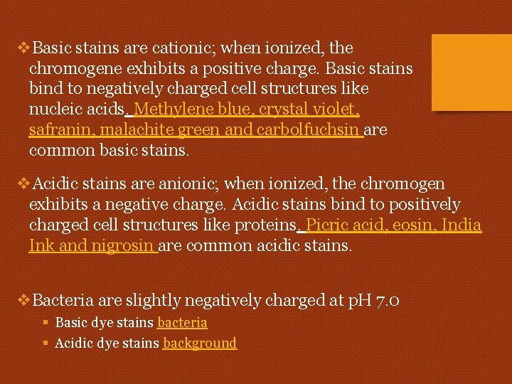 v. Basic stains are cationic; when ionized, the chromogene exhibits a positive charge. Basic