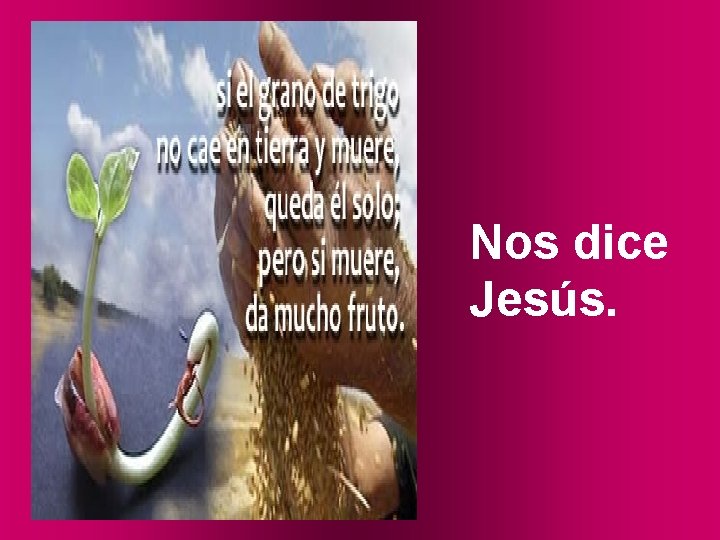 Nos dice Jesús. 