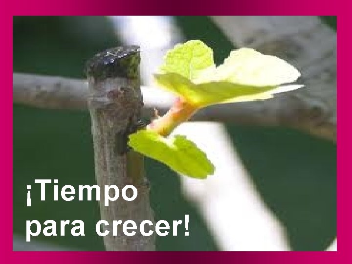 ¡Tiempo para crecer! 