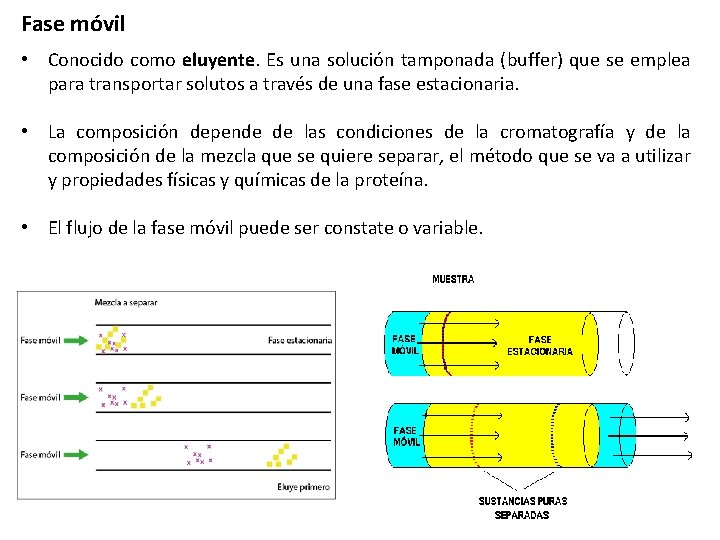 Fase móvil • Conocido como eluyente. Es una solución tamponada (buffer) que se emplea