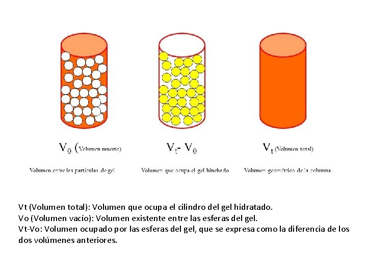 Vt (Volumen total): Volumen que ocupa el cilindro del gel hidratado. Vo (Volumen vacío):
