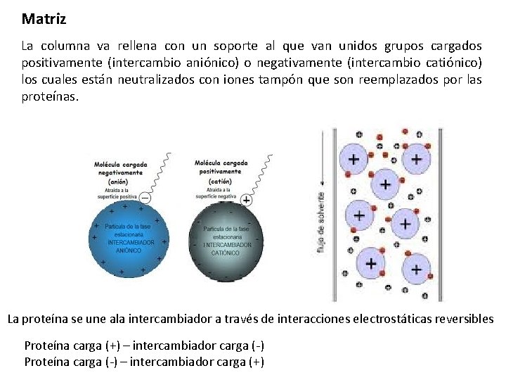 Matriz La columna va rellena con un soporte al que van unidos grupos cargados