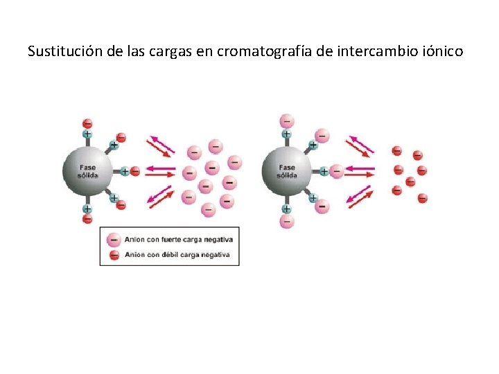Sustitución de las cargas en cromatografía de intercambio iónico 