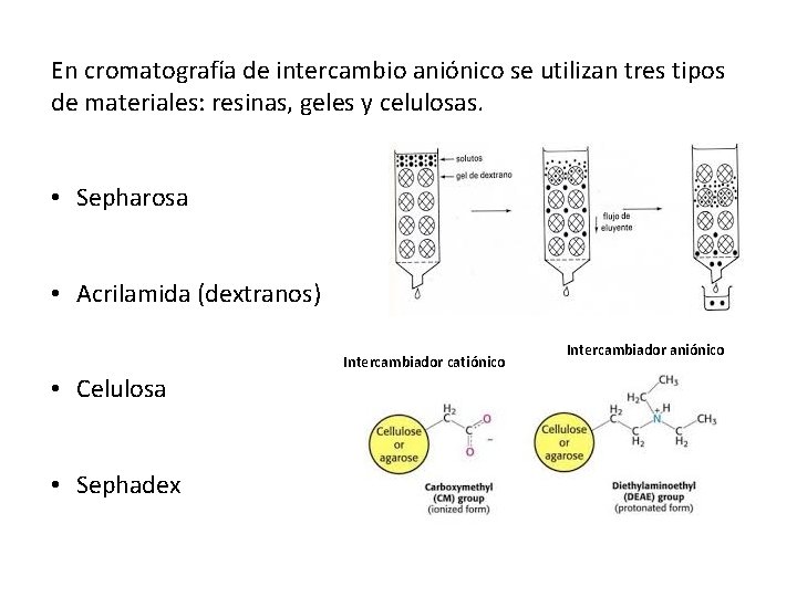 En cromatografía de intercambio aniónico se utilizan tres tipos de materiales: resinas, geles y