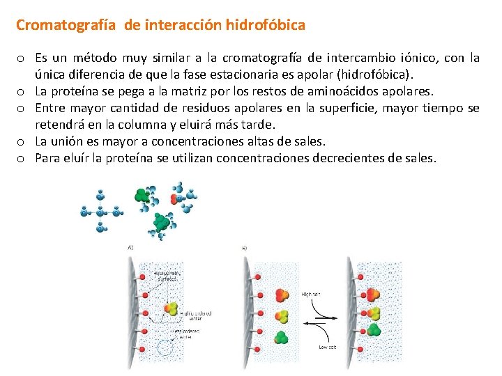 Cromatografía de interacción hidrofóbica o Es un método muy similar a la cromatografía de