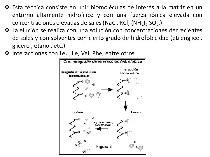 v Esta técnica consiste en unir biomoléculas de interés a la matriz en un